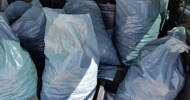 Doi constănțeni, prinși cu sute de kilograme de scoici - 2