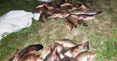 Stire din Eveniment : Dosare penale după ce au fost prinși cu peștele furat de la o fermă