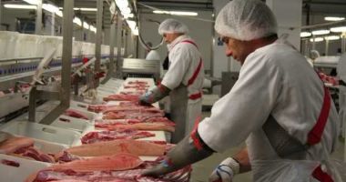 Stire din Social : JALE LA CONSTANȚA! Zeci de mii de lei amendă și produse confiscate, în urma unor controale