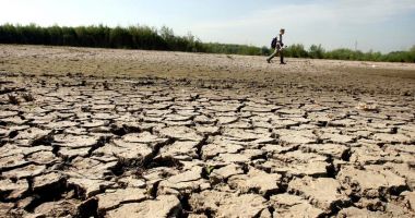 Cehia se confruntă cu cea mai gravă secetă din ultimii 500 de ani