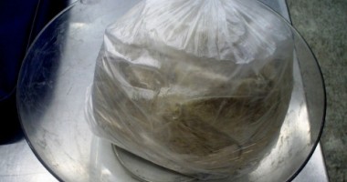 Stire din Actualitate : Poliția de frontieră din Bulgaria a confiscat 55 kilograme de heroină la intrarea pe Podul către Giurgiu