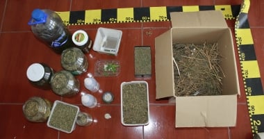 DESCINDERI LA CONSTANȚA / 26 de persoane reținute după perchezițiile la traficanții de droguri - 2