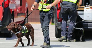 Stire din Actualitate : Un român prins în timp ce vindea la magazinul său droguri. Cum s-a întâmplat totul
