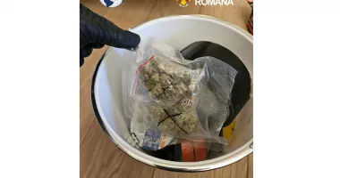 Captură importantă de droguri la Constanța. Doi tineri au fost reținuți de DIICOT
