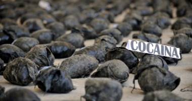 Grupări infracționale scoase din afaceri și sute de kilograme de droguri confiscate - 2