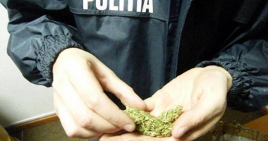 Stire din Eveniment : Captură impresionantă. Aproape 3 tone de droguri și 6.000 de comprimate, ridicate de mascați