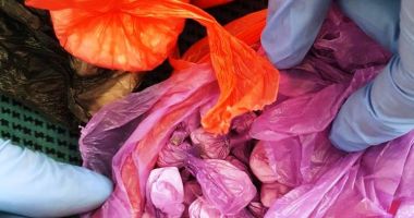 GALERIE FOTO / Percheziții în stațiunea Mamaia. Mascații au găsit sute de pastile ecstasy, cocaină și ketamină - 4