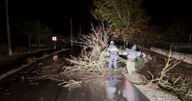 Noapte de „foc” pentru drumarii constănțeni. 20 de oameni și 9 utilaje au intervenit pe drumurile din județ - 4