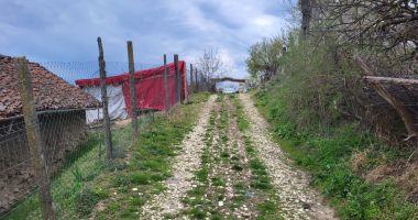Viaţa la ţară, prin ochi de admirator. Lipniţa, comuna unde Dunărea "sărută" pământul - 4