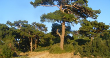 Drumul spre vacanță. De la Marea Neagră la Marea Egee - 2