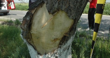 "Blestemul" mașinilor  cu numere  de Bulgaria - 5