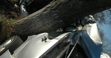 Accident RUTIER MORTAL. O avocată a intrat cu mașina într-un copac! Galerie FOTO - 3