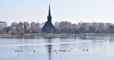 Galerie foto. Spectacol în Parcul Tăbăcărie. Păsările au ieșit la pescuit, pe lacul înghețat - 3