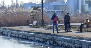 Galerie foto. Spectacol în Parcul Tăbăcărie. Păsările au ieșit la pescuit, pe lacul înghețat - 8
