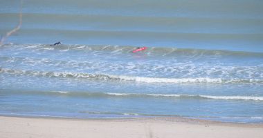 GALERIE FOTO / PRIMĂVARA A VENIT CU CHEF DE SPORT, LA CONSTANȚA. UNII SE PLIMBĂ, ALȚII FAC SURFING! - 2