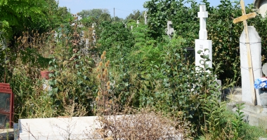 GALERIE FOTO / Cimitirul Central din Constanța, acoperit de buruieni. "Mi-e frică să intru, plătim bani degeaba" - 5