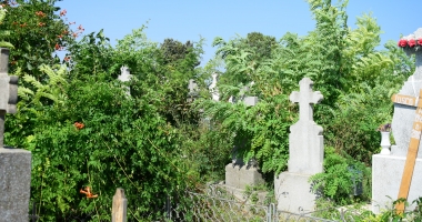 GALERIE FOTO / Cimitirul Central din Constanța, acoperit de buruieni. "Mi-e frică să intru, plătim bani degeaba" - 6