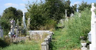 GALERIE FOTO / Cimitirul Central din Constanța, acoperit de buruieni. "Mi-e frică să intru, plătim bani degeaba" - 7