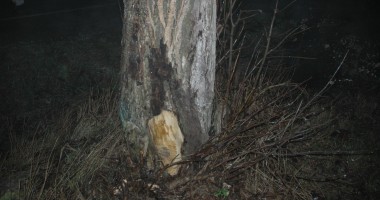 S-a răsturnat cu mașina de băut ce era. Trei victime - Galerie FOTO - 2