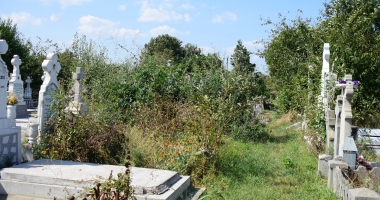 GALERIE FOTO / Cimitirul Central din Constanța, acoperit de buruieni. "Mi-e frică să intru, plătim bani degeaba" - 8