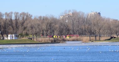 GALERIE FOTO / PRIMĂVARA A VENIT CU CHEF DE SPORT, LA CONSTANȚA. UNII SE PLIMBĂ, ALȚII FAC SURFING! - 6