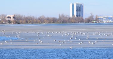 GALERIE FOTO / PRIMĂVARA A VENIT CU CHEF DE SPORT, LA CONSTANȚA. UNII SE PLIMBĂ, ALȚII FAC SURFING! - 8