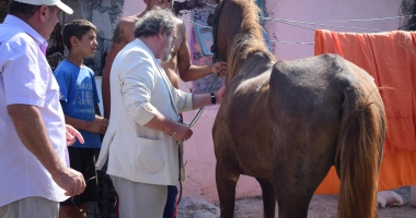 Galerie foto-video / Agitație în cartierul Palas. Este plin de jandarmi! - 15
