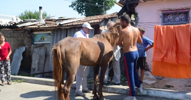 Galerie foto-video / Agitație în cartierul Palas. Este plin de jandarmi! - 14