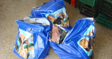 Peste o sută de kilograme de calcan, confiscate de Garda de Coastă - 2