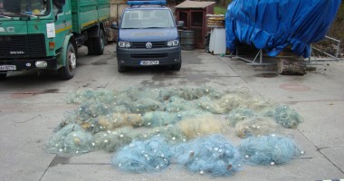 Stire din Eveniment : Peste 250 de kilograme de pește, confiscate