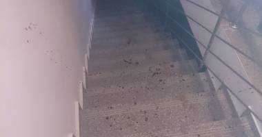 Imagini șocante! CRIMĂ cu SÂNGE RECE ÎN CONSTANȚA. TÂNĂR CU HIV, UCIS cu bestialitate și TÂRÂT pe scări. Criminalul, de negăsit - UPDATE - 7