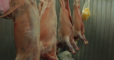 Stire din Economie : Românii au tăiat in martie mai multe păsări și animale, spune INS