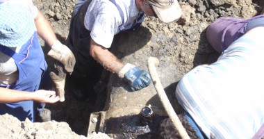 Galerie FOTO. Percheziții de amploare la Constanța / Fostul deputat Bivolaru, reținut pentru spălare de bani. Prejudiciu de peste un milion de lei - 26