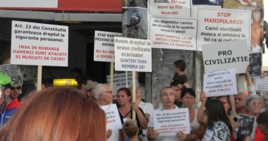 Stire din Eveniment : Protest anti-maidanezi în Parcul Izor din Capitală