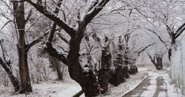 Stire din Eveniment : Gerul a făcut o victimă la Constanța/ Mort găsit printre ruine