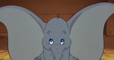 Stire din Actualitate : PETA cere companiei Walt Disney să renunțe la animalele sălbatice la filmări
