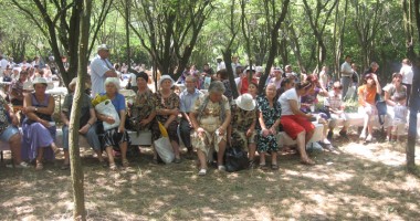 Stire din Politică-Administrație : Picnic în pădurea de la Dumbrăveni, cu parlamentarii constănțeni