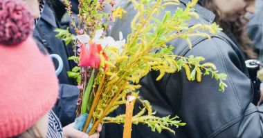 Sărbătoare mare la creștini. Importanța mâțișorilor sfințiți în Duminica Floriilor - 2