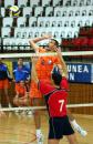 Stire din Sport : Reeditare a finalei de Cupă