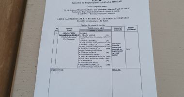 Opt inculpați din dosarul „Fabrica de moșteniri”, în fața instanței. Ce spun avocații - 2