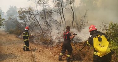 Incendiile au devastat jumătate din Grecia, în doar trei zile. Pompierii români, lăudaţi - 2