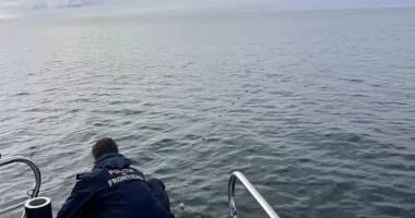 Cinci sturioni salvați din plase ilegale descoperite în Marea Neagră - 3