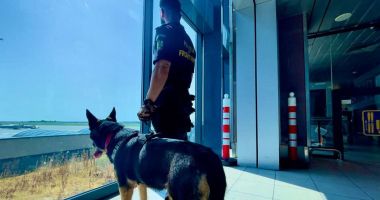 Stire din Eveniment : Peste 4.000 de pachete de ţigări de contrabandă, descoperite pe Aeroportul Otopeni cu ajutorul câinelui Ebasa