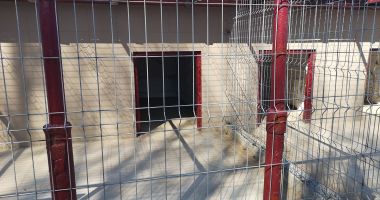 Stire din Social : Galerie foto. Iată cum arată noul adăpost pentru câini fără stăpân, din Constanța