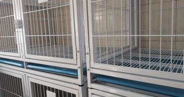Galerie foto. Iată cum arată noul adăpost pentru câini fără stăpân, din Constanța - 3