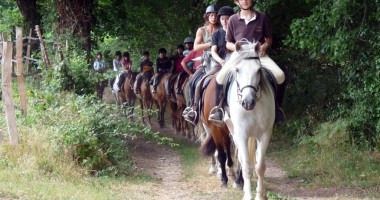 Stire din Diverse : Cursuri de echitație,  între hobby și sport