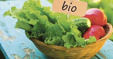 Stire din Economie : Ecologizarea agriculturii va fi însoțită de riscuri pentru Europa