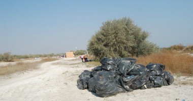 Peste 500 de elevi din Năvodari  au ecologizat plaja din zona orașului - 2