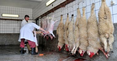 Stire din Economie : Economia, pe scurt