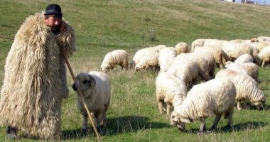 Stire din Economie : Economia pe scurt